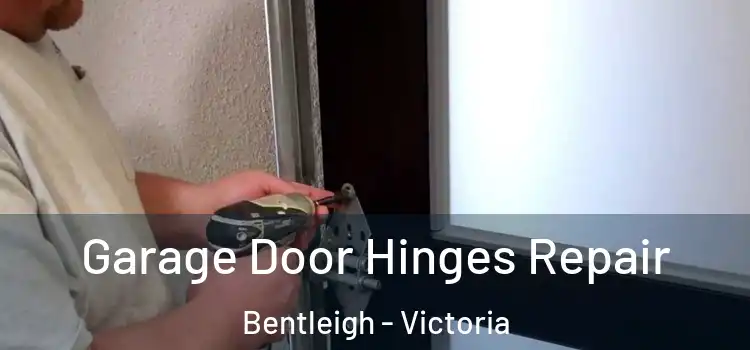 Garage Door Hinges Repair Bentleigh - Victoria