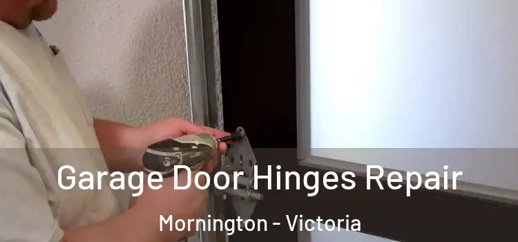Garage Door Hinges Repair Mornington - Victoria