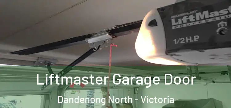 Liftmaster Garage Door Dandenong North - Victoria