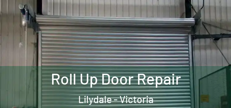Roll Up Door Repair Lilydale - Victoria
